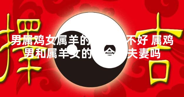 男属鸡女属羊的婚姻好不好 属鸡男和属羊女的适合做夫妻吗